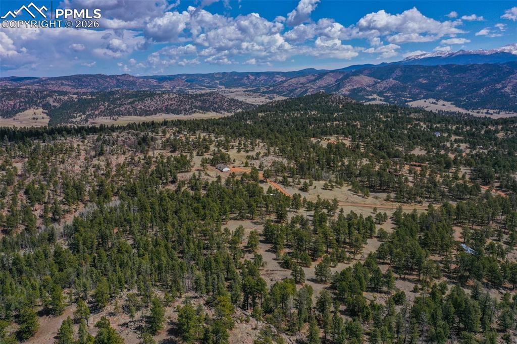 487 Pike View Lane Florissant CO 80816