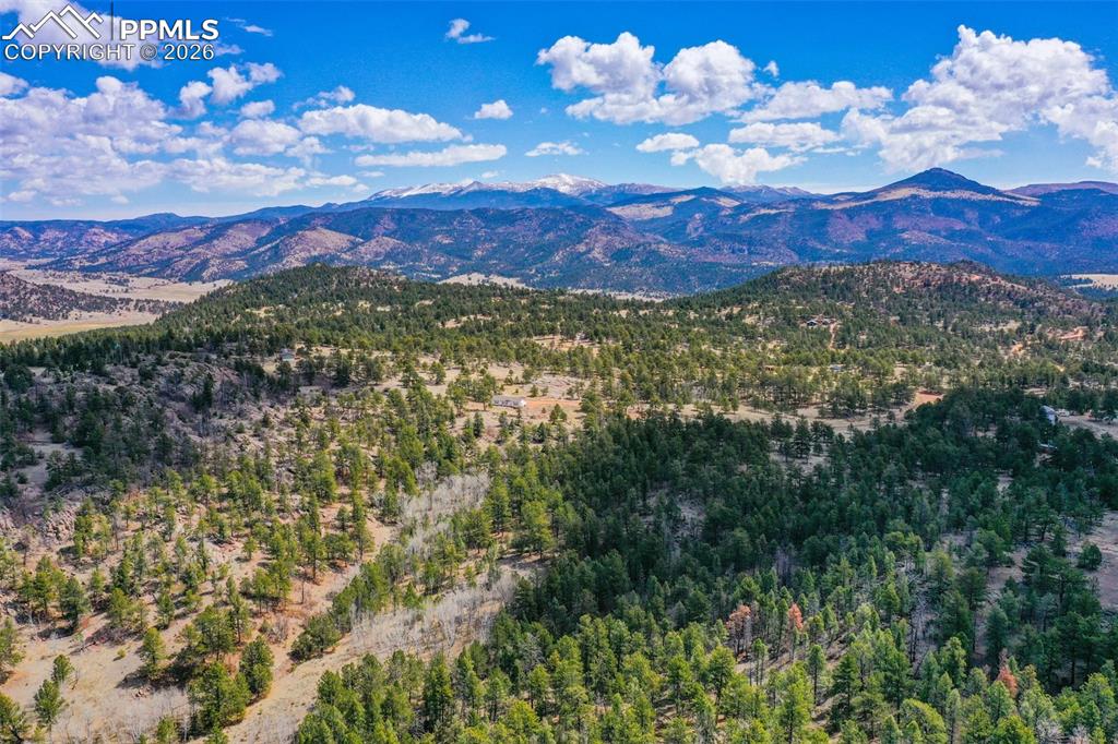 487 Pike View Lane Florissant CO 80816
