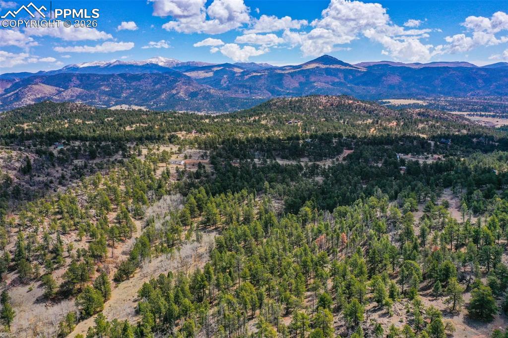 487 Pike View Lane Florissant CO 80816