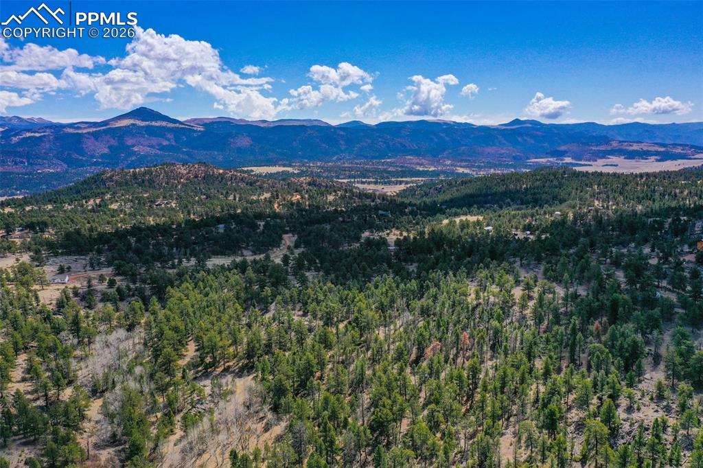 487 Pike View Lane Florissant CO 80816