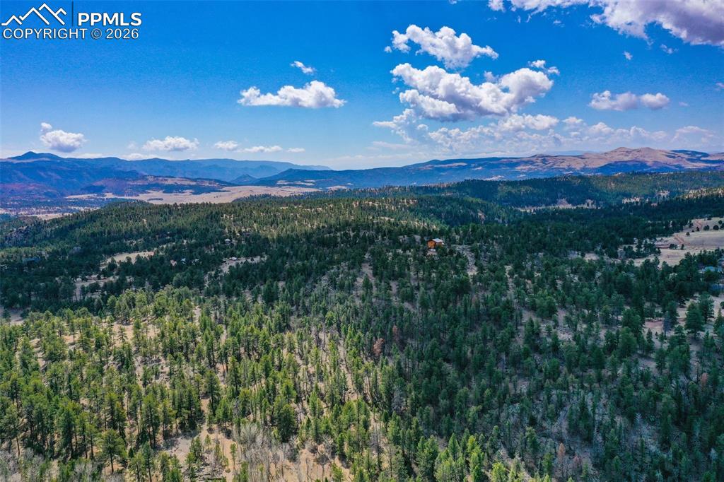 487 Pike View Lane Florissant CO 80816