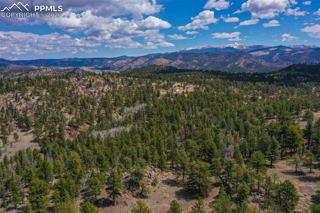 487 Pike View Lane Florissant CO 80816