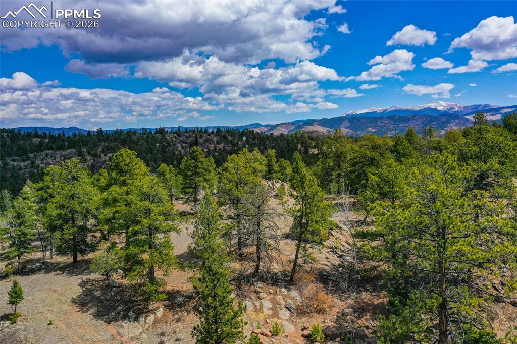 487 Pike View Lane Florissant CO 80816