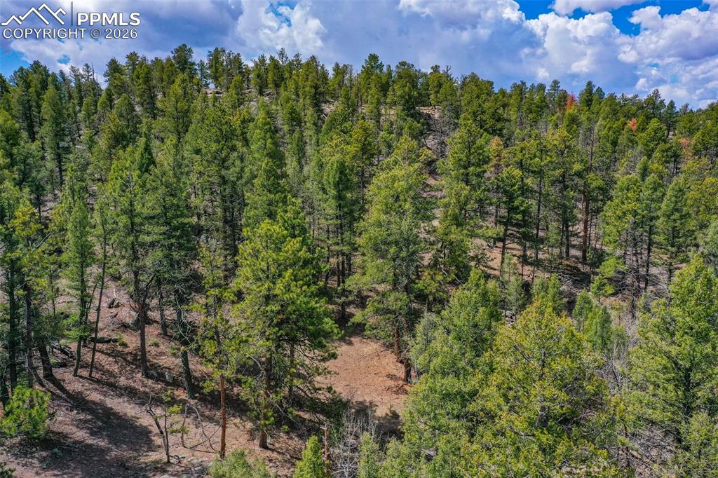 487 Pike View Lane Florissant CO 80816