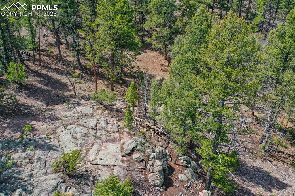 487 Pike View Lane Florissant CO 80816