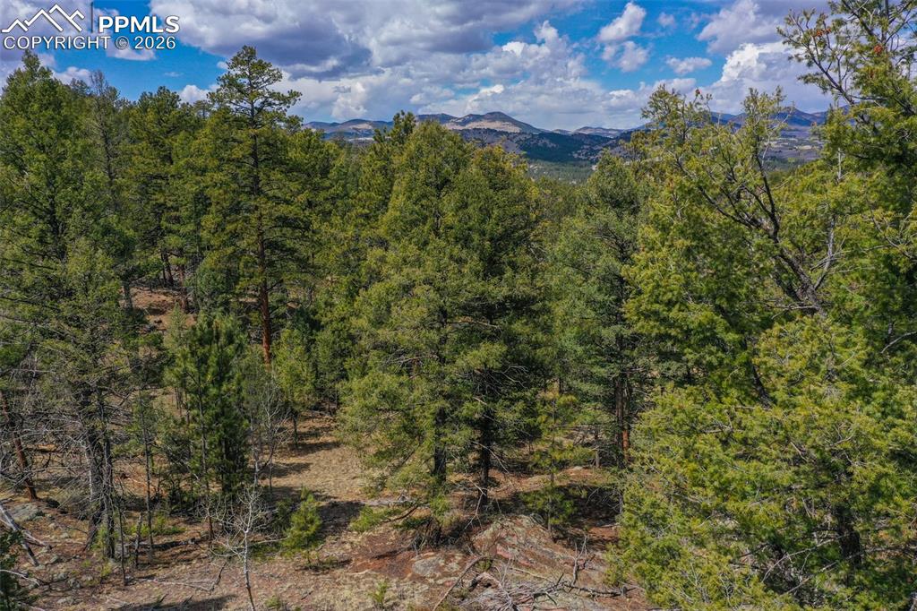 487 Pike View Lane Florissant CO 80816