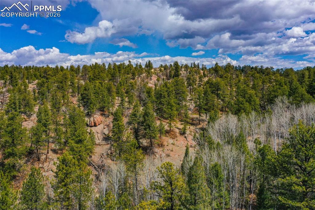 487 Pike View Lane Florissant CO 80816