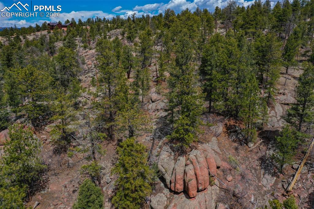 487 Pike View Lane Florissant CO 80816