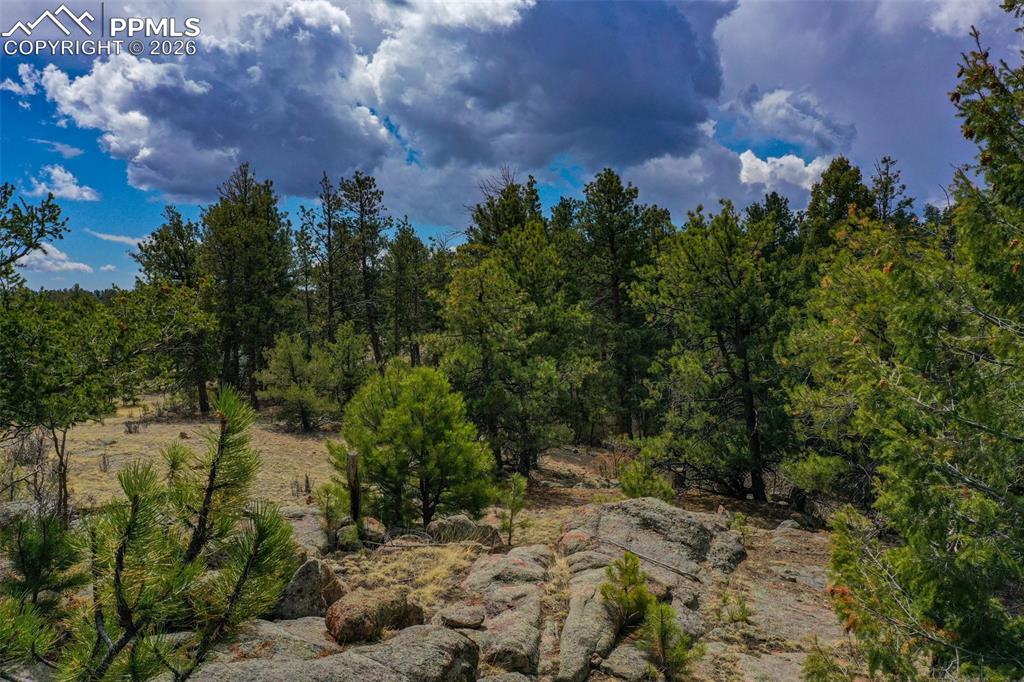 487 Pike View Lane Florissant CO 80816