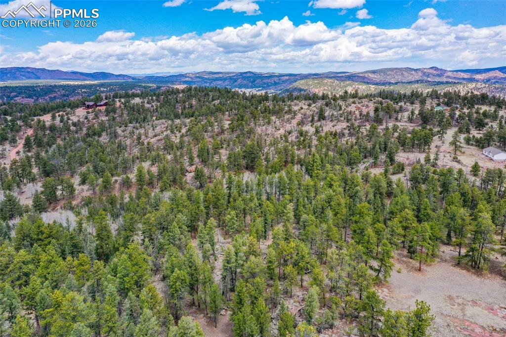 487 Pike View Lane Florissant CO 80816