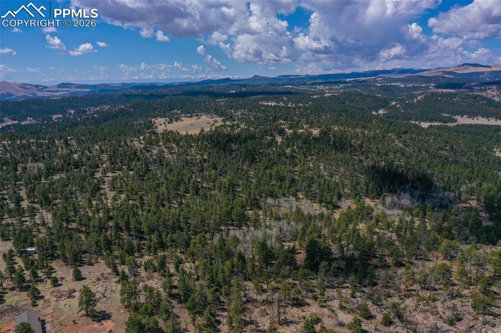 487 Pike View Lane Florissant CO 80816