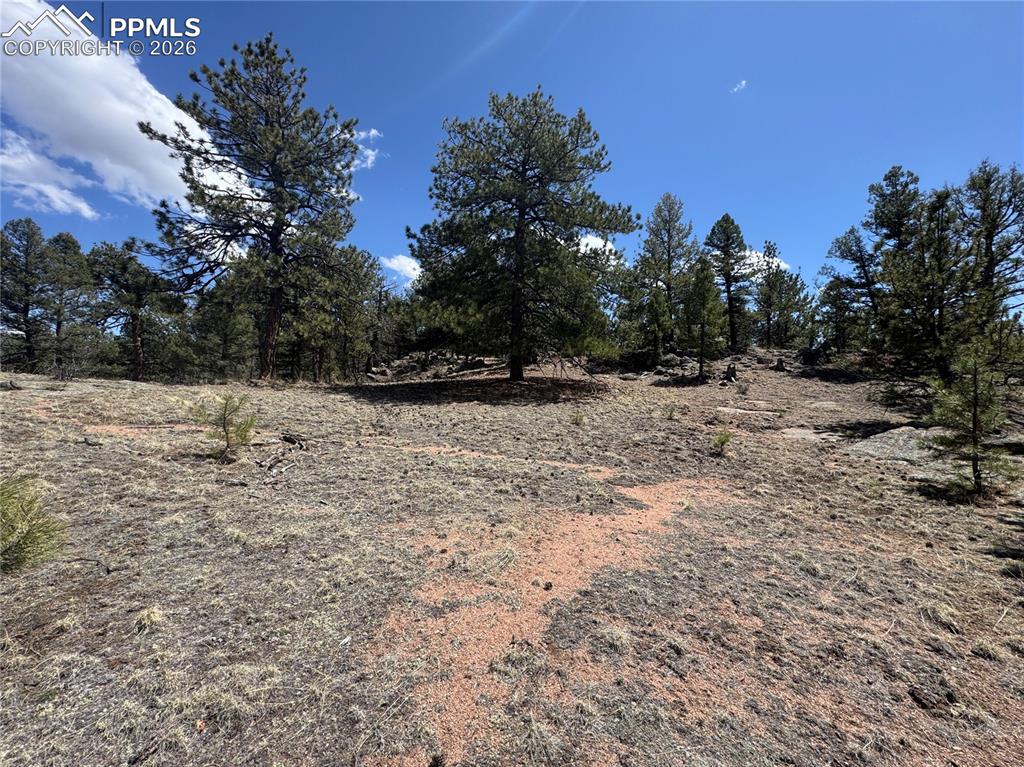 487 Pike View Lane Florissant CO 80816