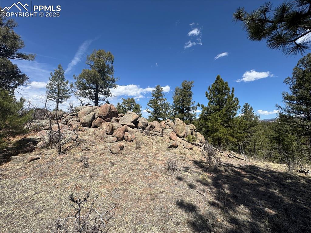 487 Pike View Lane Florissant CO 80816
