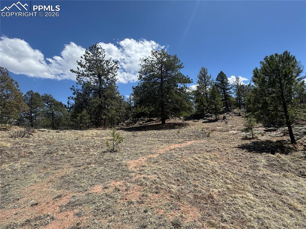 487 Pike View Lane Florissant CO 80816
