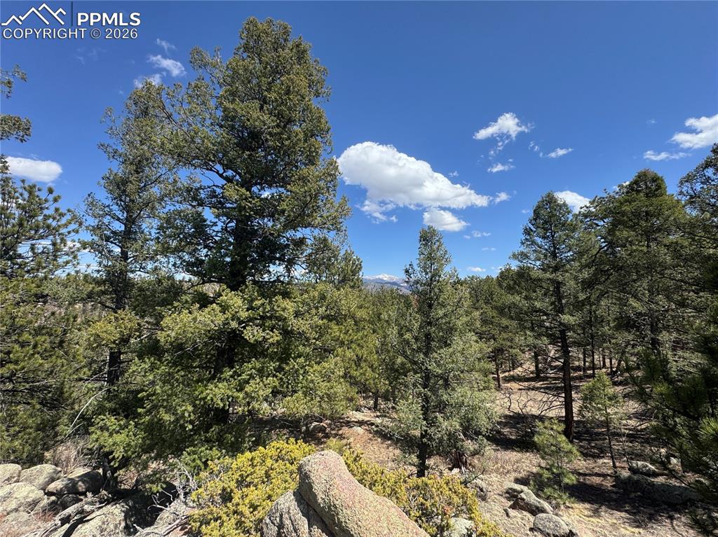487 Pike View Lane Florissant CO 80816