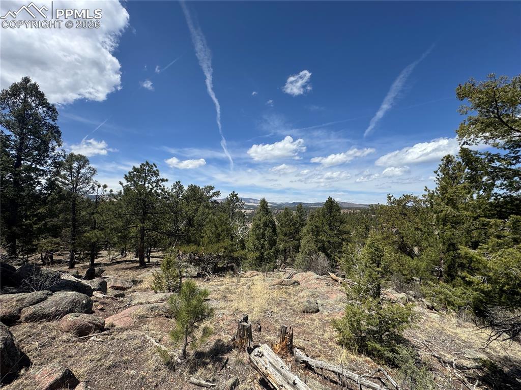 487 Pike View Lane Florissant CO 80816