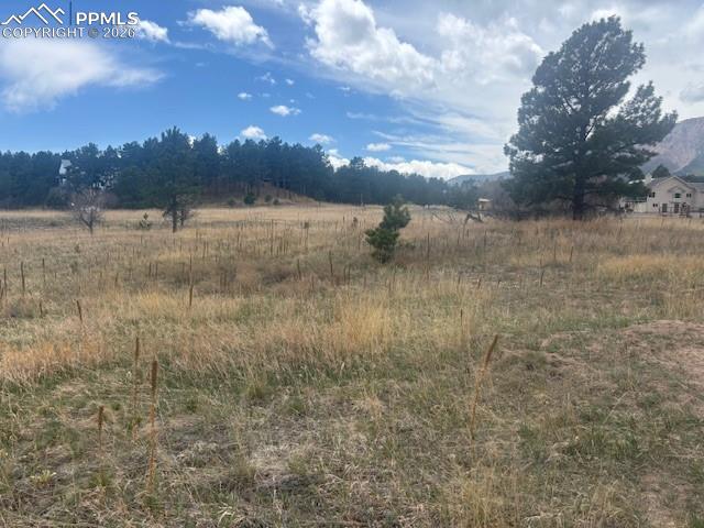 3615 Summertime Court Monument CO 80132