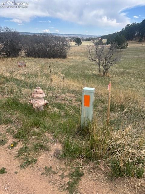 3615 Summertime Court Monument CO 80132