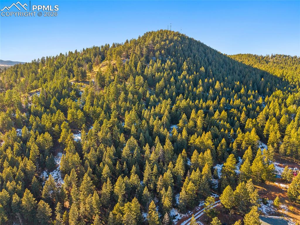 850 W Highway 24 Woodland Park CO 80863