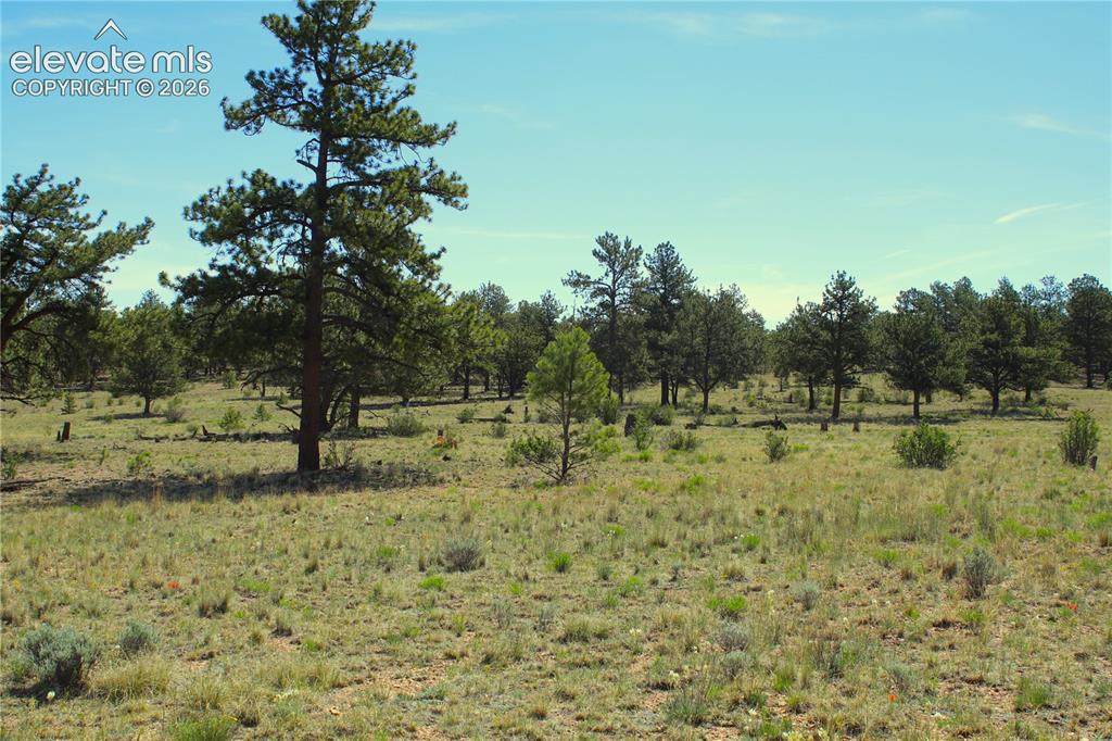 31572 Highway 9 Fairplay CO 80449
