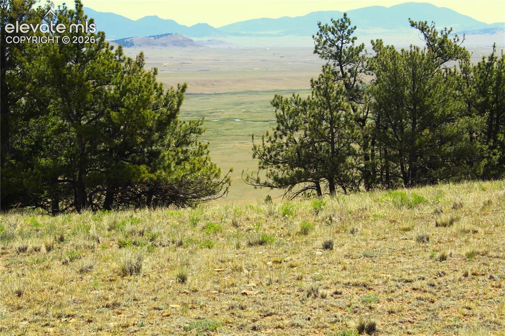 31572 Highway 9 Fairplay CO 80449