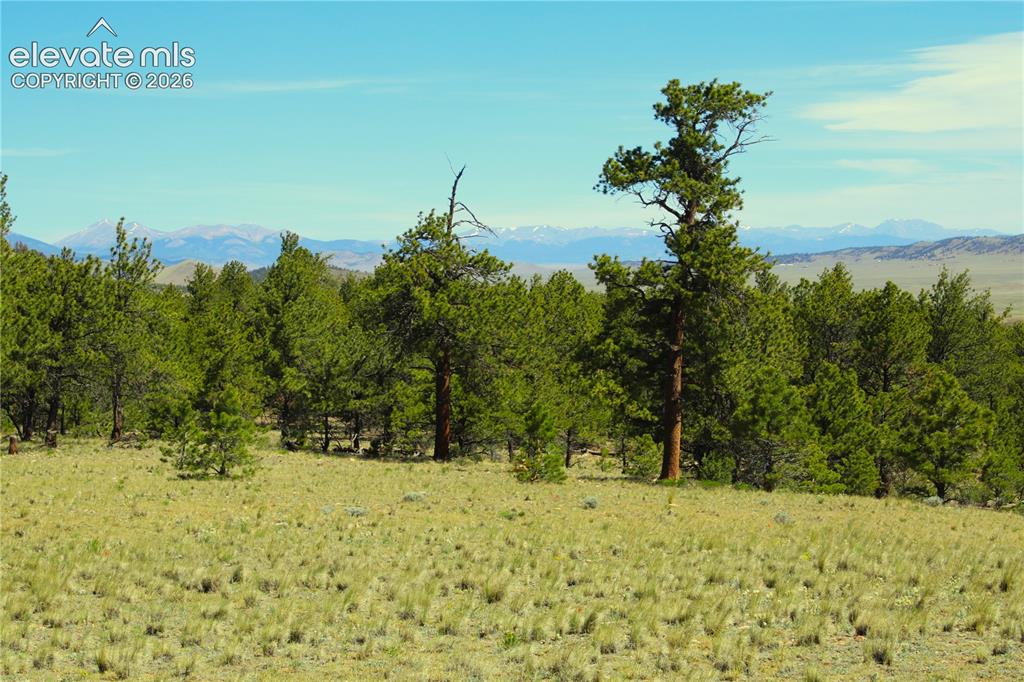 31572 Highway 9 Fairplay CO 80449