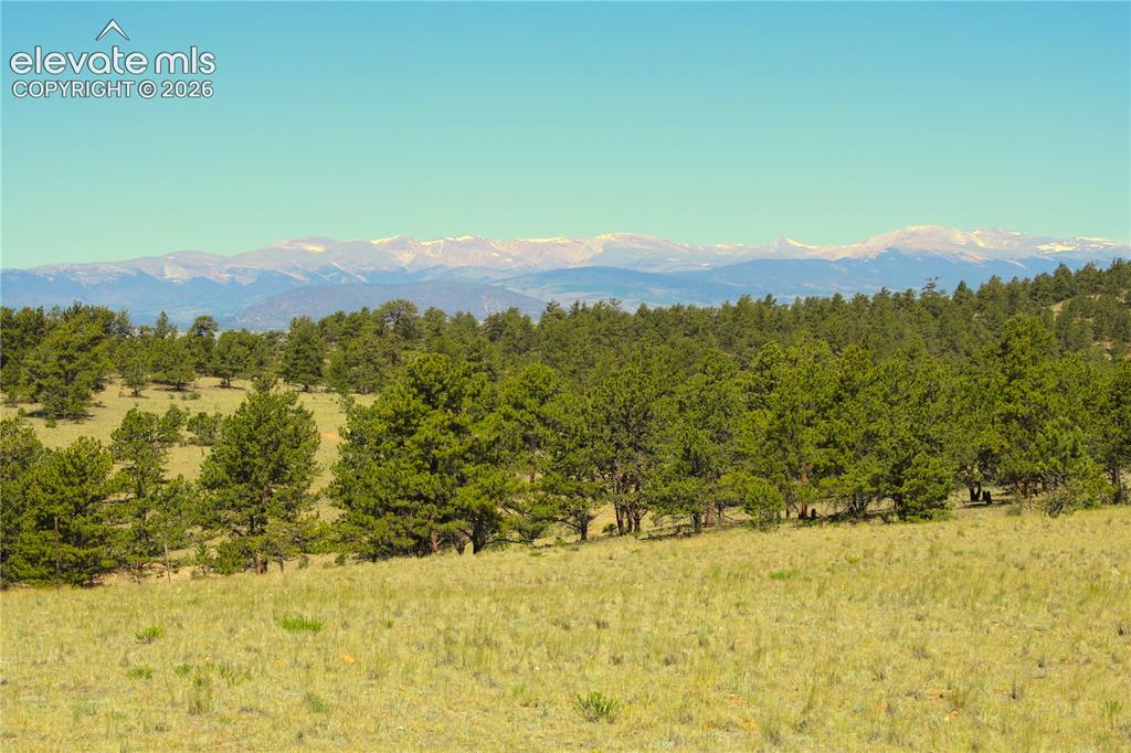 31572 Highway 9 Fairplay CO 80449