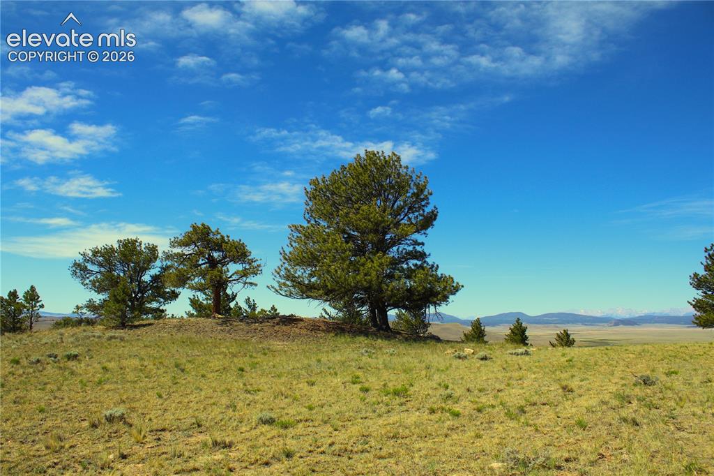 31572 Highway 9 Fairplay CO 80449