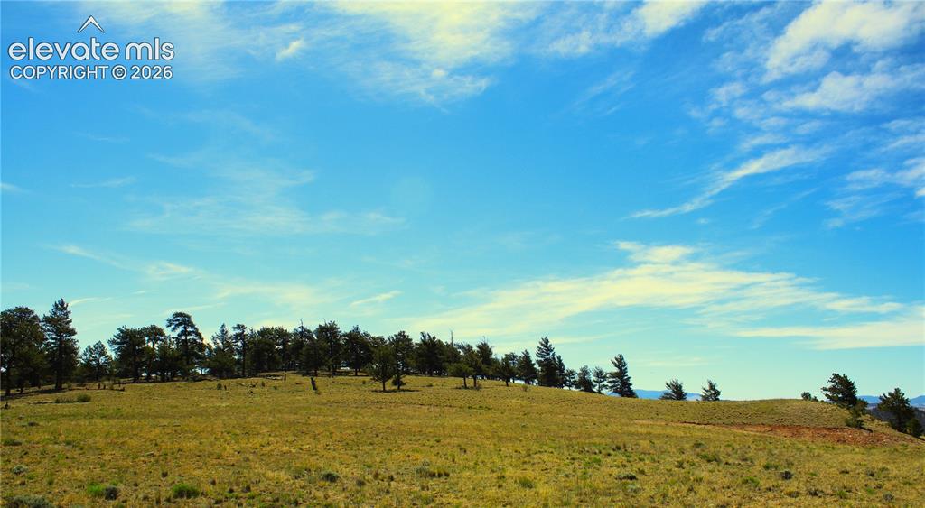 31572 Highway 9 Fairplay CO 80449