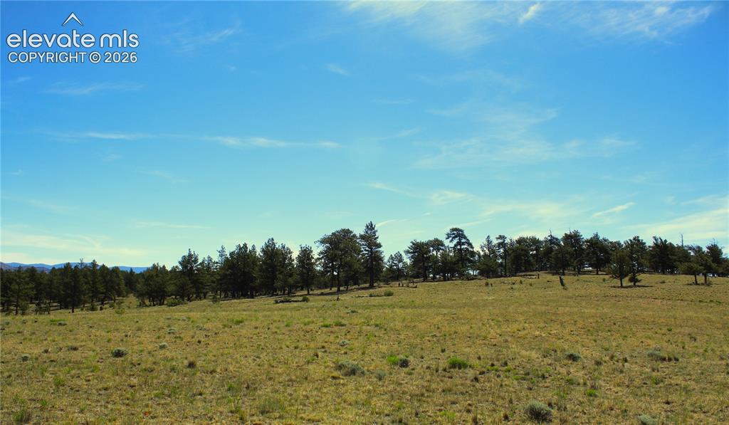 31572 Highway 9 Fairplay CO 80449