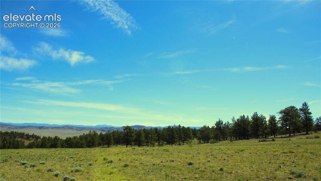 31572 Highway 9 Fairplay CO 80449