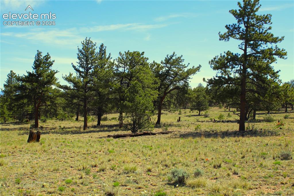 31572 Highway 9 Fairplay CO 80449
