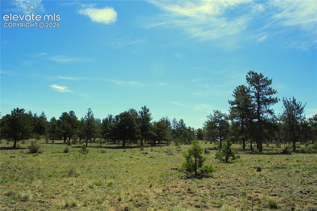 31572 Highway 9 Fairplay CO 80449