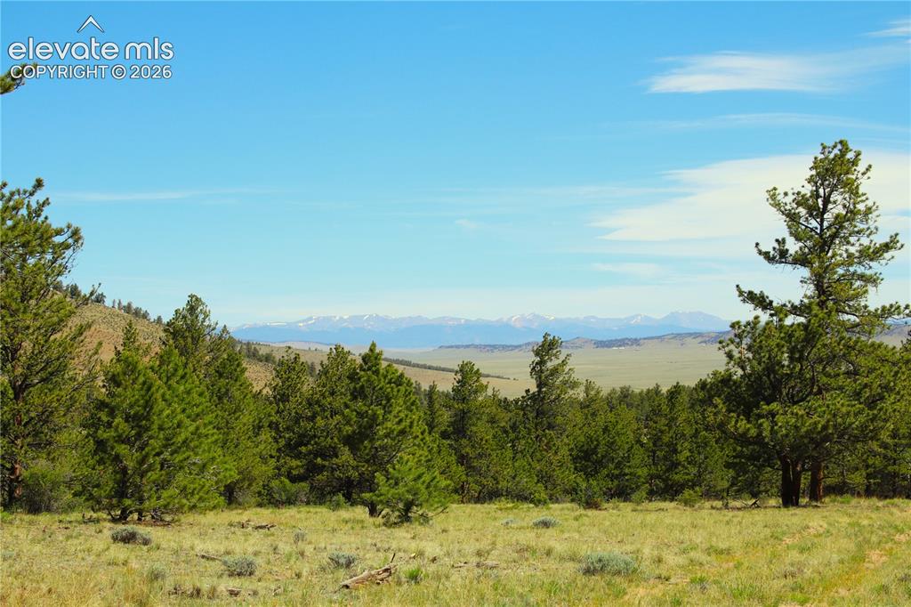 31572 Highway 9 Fairplay CO 80449