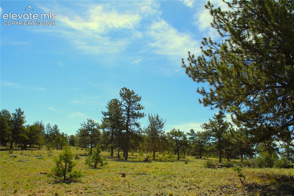 31572 Highway 9 Fairplay CO 80449