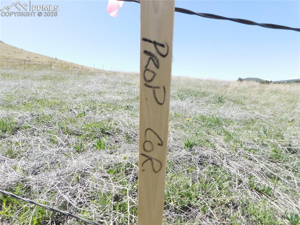 11972 Haskel Creek Road Larkspur CO 80118