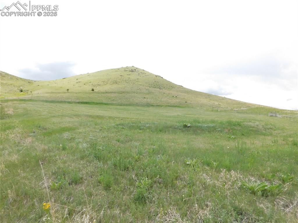 11972 Haskel Creek Road Larkspur CO 80118