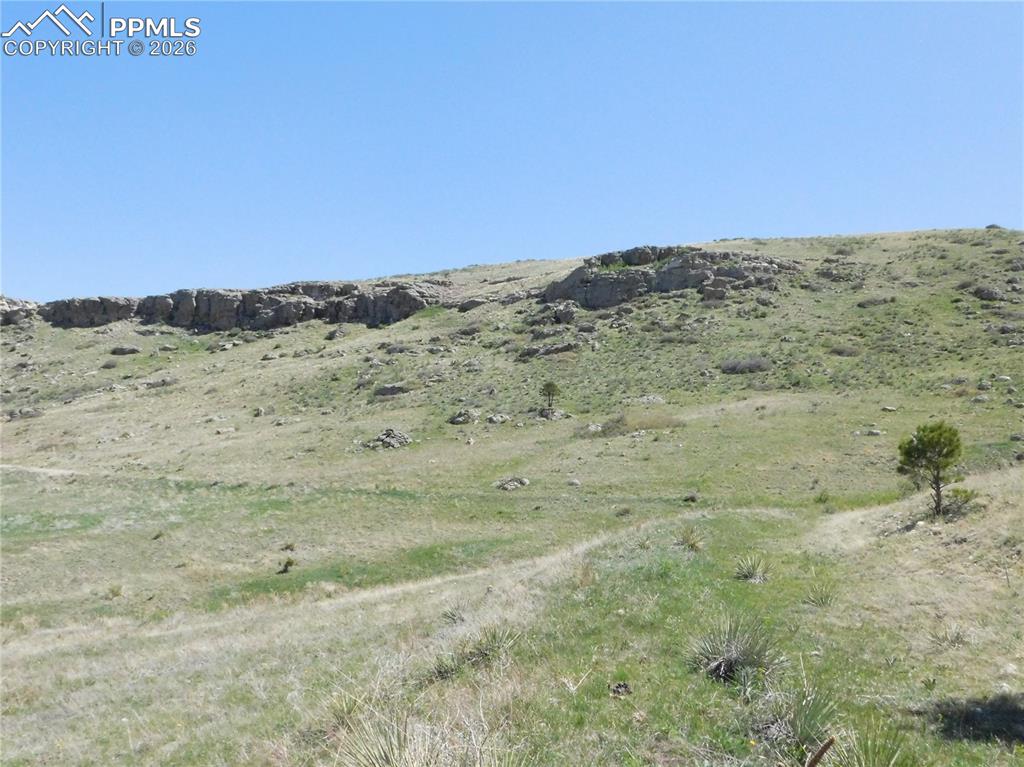 11972 Haskel Creek Road Larkspur CO 80118
