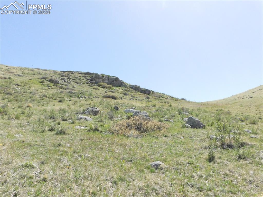11972 Haskel Creek Road Larkspur CO 80118