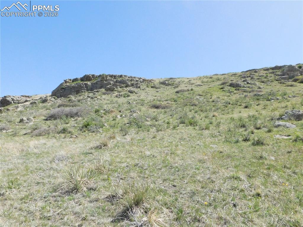 11972 Haskel Creek Road Larkspur CO 80118