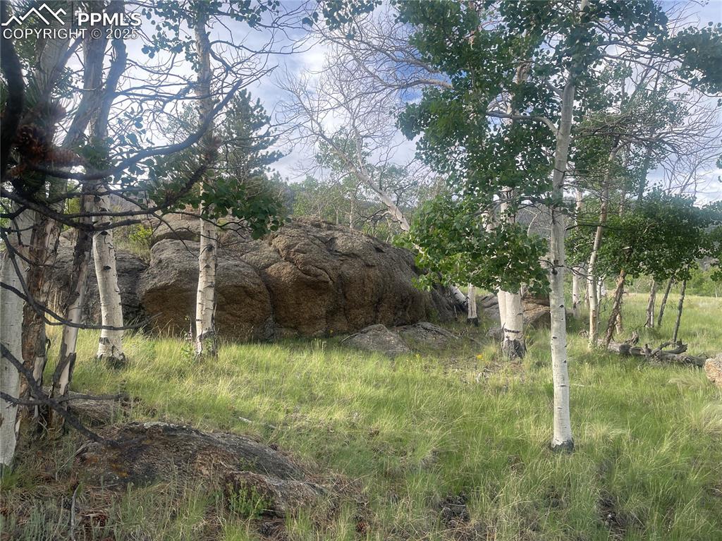 170 Emerald Way Lake George CO 80827