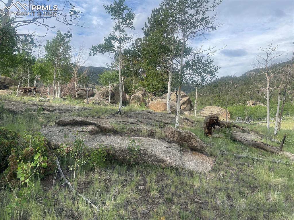 170 Emerald Way Lake George CO 80827