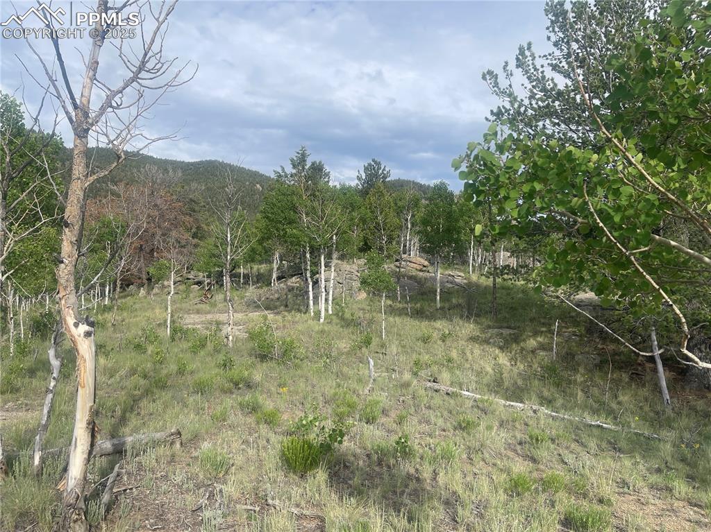 170 Emerald Way Lake George CO 80827