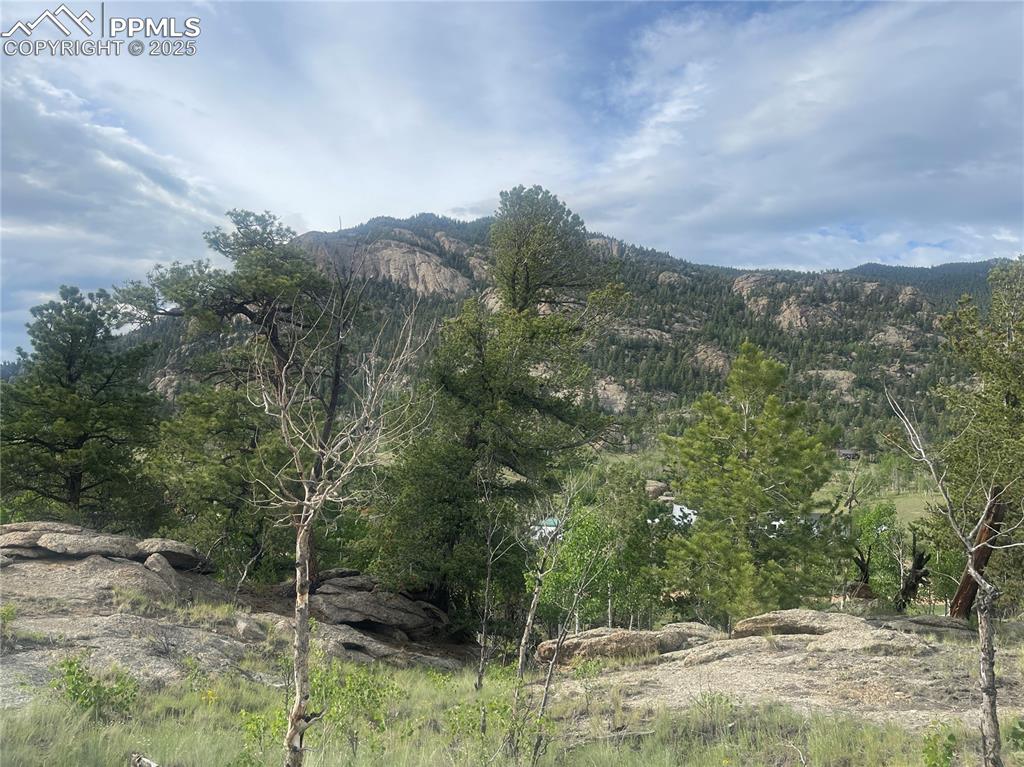 170 Emerald Way Lake George CO 80827