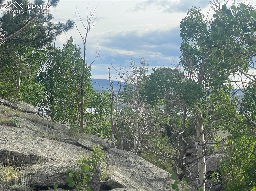 170 Emerald Way Lake George CO 80827
