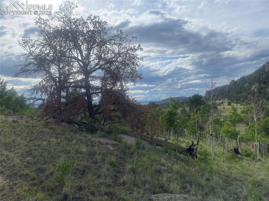 170 Emerald Way Lake George CO 80827