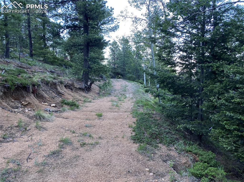 285 Forest Road Manitou Springs CO 80829