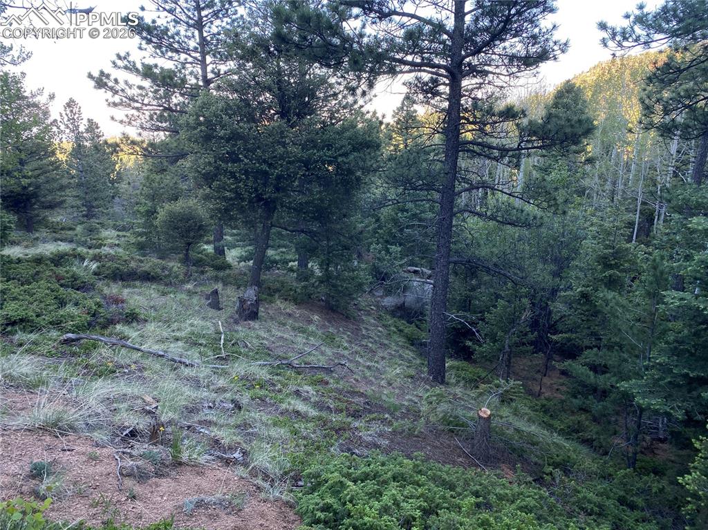 285 Forest Road Manitou Springs CO 80829