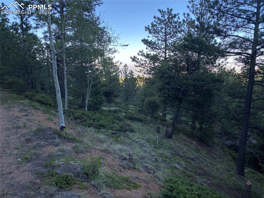 285 Forest Road Manitou Springs CO 80829