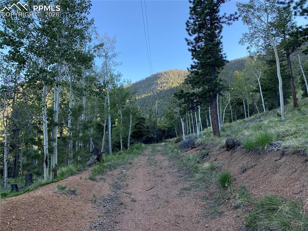285 Forest Road Manitou Springs CO 80829